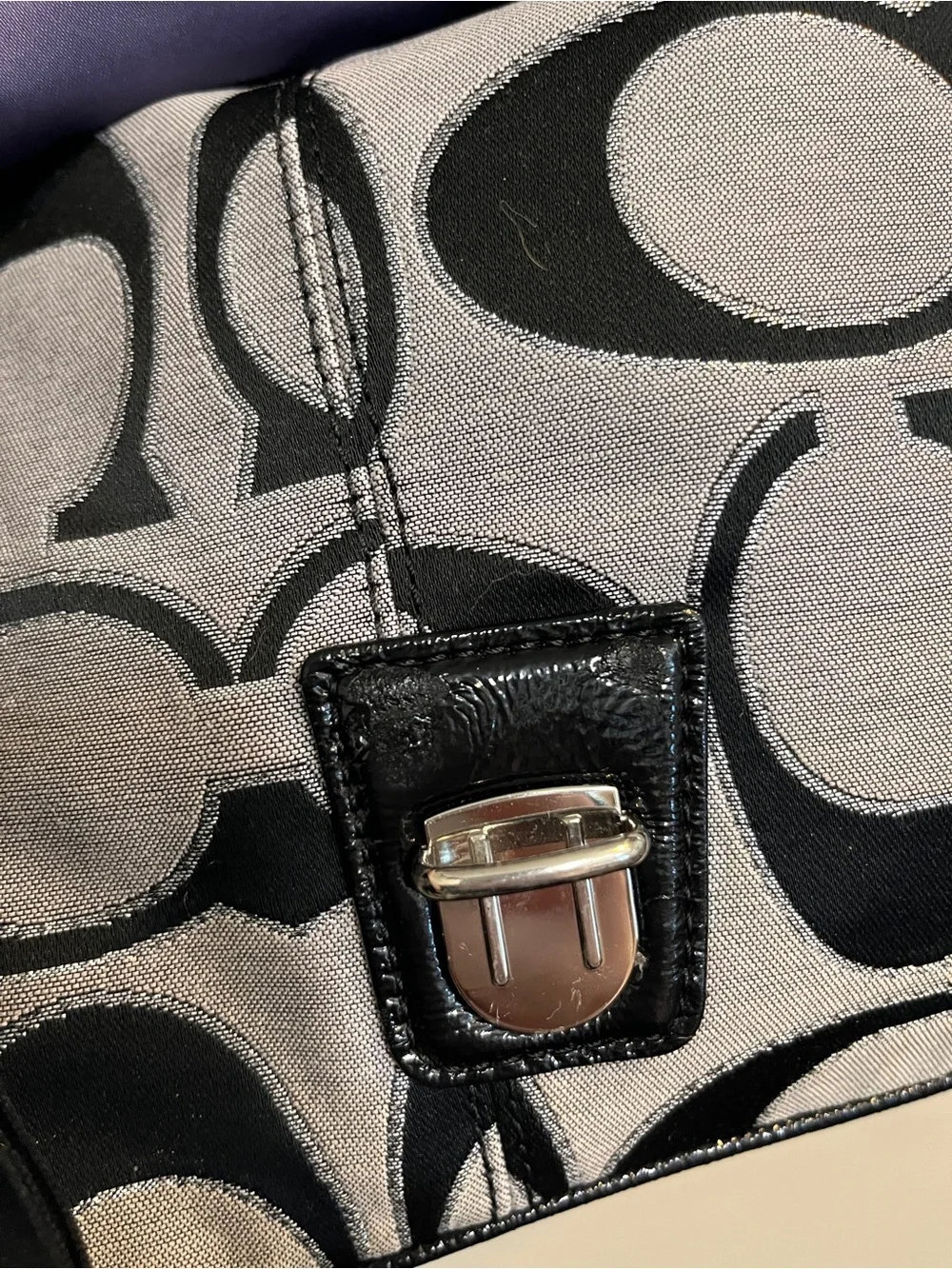 Vintage Y2K Coach Poppy Signature Pushlock Flap Bag (Style No. 18352)